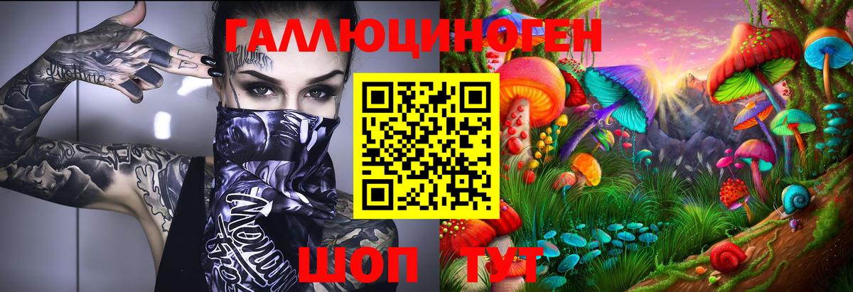 Галлюциногенные грибы Cubensis Великий Устюг