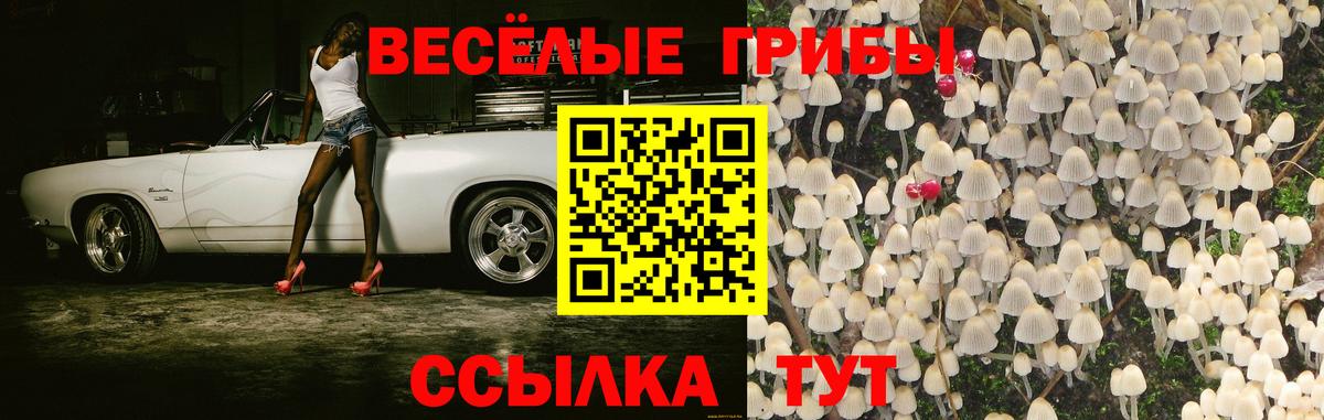 Конопля Великий Устюг
