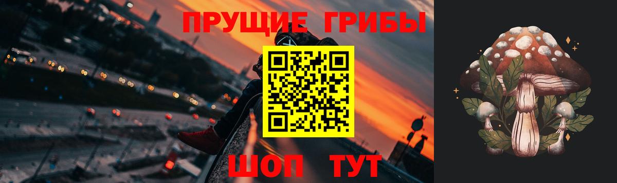 Великий Устюг  Псилоцибиновые грибы Magic Shrooms  Вход с VPN  наркота  Псилоцибиновые грибы GOLDEN TEACHER 